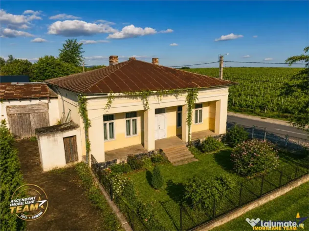 FILM! Domeniu de 4.000 mp intravilan casa autentica, in pod - Vartescoiu (Vrancea)