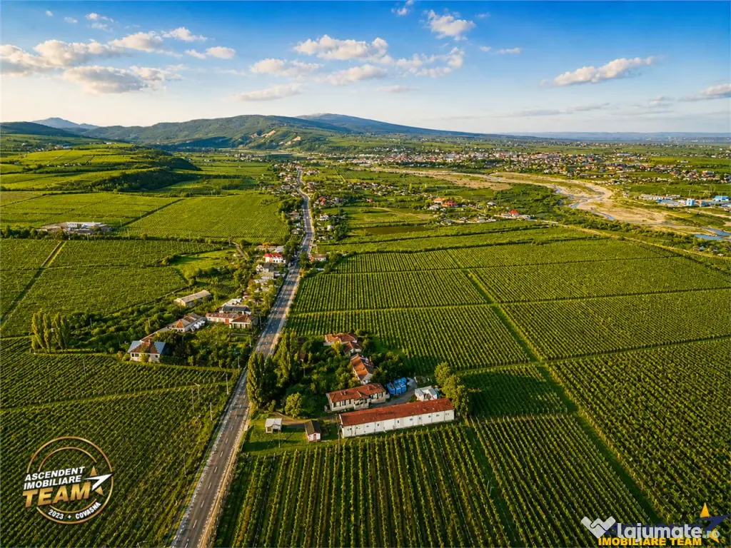 FILM! Domeniu de 4.000 mp intravilan casa autentica, in pod - Vartescoiu (Vrancea)