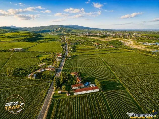 FILM! Domeniu de 4.000 mp intravilan casa autentica, in pod - Vartescoiu (Vrancea)