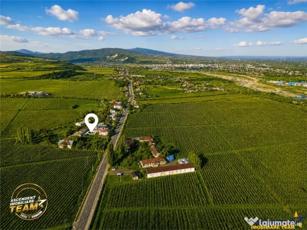 FILM! Domeniu de 4.000 mp intravilan casa autentica, in pod - Vartescoiu (Vrancea)