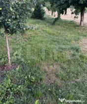 Casa si Bar de Vanzare in Ocna Mures 