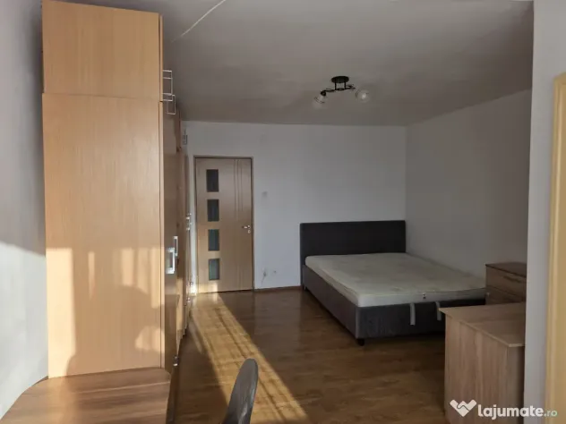Garsoniera de vanzare Bloc G etaj 9 din 10 Brazda lui Novac