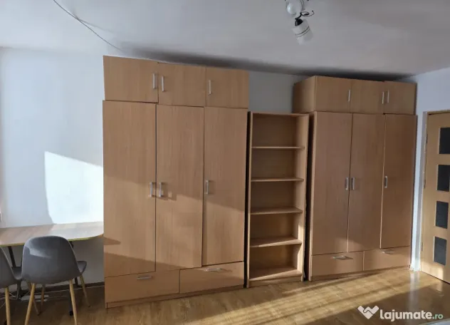 Garsoniera de vanzare Bloc G etaj 9 din 10 Brazda lui Novac