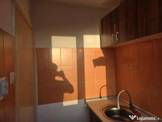 Garsoniera de vanzare Bloc G etaj 9 din 10 Brazda lui Novac