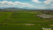FILM! Teren extravilan 5.000 mp in zona linistita cu acces f 