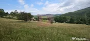 Teren intravilan de vanzare 3500 mp in Valea Doftanei