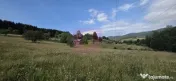 Teren intravilan de vanzare 3500 mp in Valea Doftanei