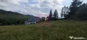 Teren intravilan de vanzare 3500 mp in Valea Doftanei