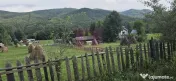 Teren intravilan de vanzare 3500 mp in Valea Doftanei