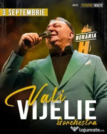Set 4 invitatii categoria A la Vali Vijelie și orchestra // concert la Berăria H pe 3 septembrie 2026