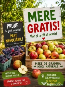Ofer 2 tone mere GRATIS