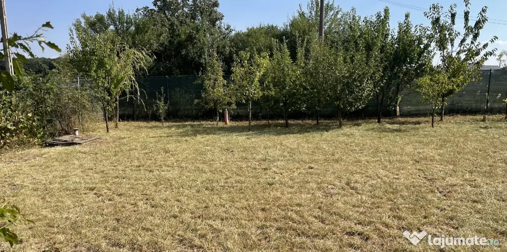 Casuta de lemn si curte in Ciofliceni