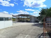Casa spatioasa P+M(233 mp utili)si teren de 2518 mp,cu 3 hal 