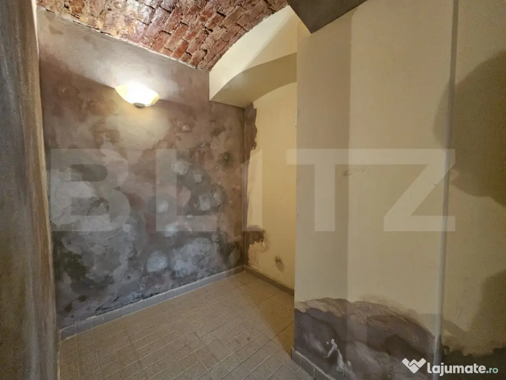 Spațiu comercial SAD cu terasa – ideal pentru activităț - Timisoara (Timis)