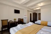 Pensiune modernă de vânzare, afacere funcțională, profitabilă Micalaca