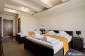 Pensiune modernă de vânzare, afacere funcțională, profitabilă Micalaca