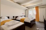 Pensiune modernă de vânzare, afacere funcțională, profitabilă Micalaca