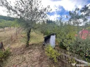 FIRIZA – CASĂ DE VACANȚĂ CU TEREN ȘI POTENȚIAL DE DEZ 