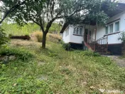 FIRIZA – CASĂ DE VACANȚĂ CU TEREN ȘI POTENȚIAL DE DEZ 