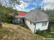 FIRIZA – CASĂ DE VACANȚĂ CU TEREN ȘI POTENȚIAL DE DEZ 