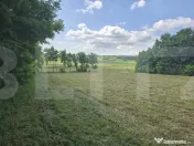 Teren intravilan 4.725 mp, Roma, Botoșani 