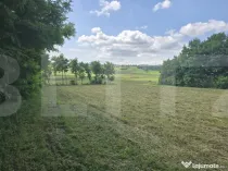 Teren intravilan 4.725 mp, Roma, Botoșani