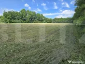 Teren intravilan 4.725 mp, Roma, Botoșani 