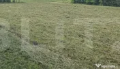 Teren 3.600 mp, zona Rediu, deschidere la drum național 