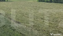 Teren 3.600 mp, zona Rediu, deschidere la drum național