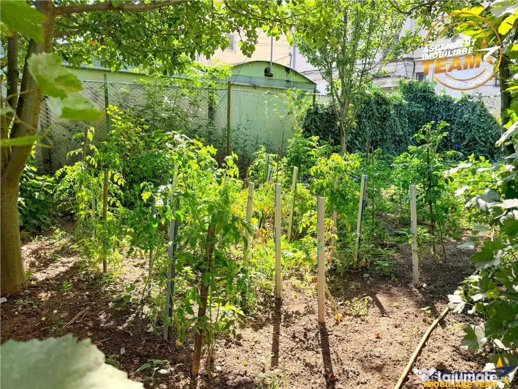 Casa cu etaj, garaj si panorama frumoasa, Sfantu Gheorghe, C - Sfantu Gheorghe (Covasna)