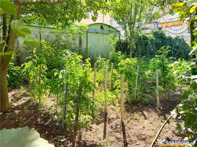Casa cu etaj, garaj si panorama frumoasa, Sfantu Gheorghe, C - Sfantu Gheorghe (Covasna)