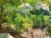 Casa cu etaj, garaj si panorama frumoasa, Sfantu Gheorghe, C
