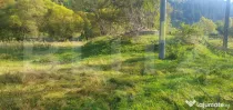 Teren intravilan, 1322 mp, zona Vatra Dornei