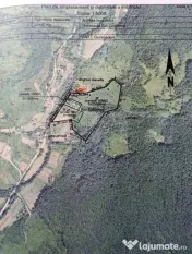 Vilă modernă 300 mp + 3,27 ha teren , Gothatea / Gurasada 