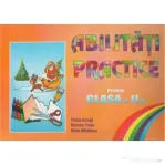 Abilitati practice pentru clasa a 2-a - Florica Ancuta