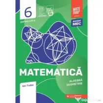 Matematica. Algebra, geometrie. Clasa a 6-a, partea a 2-a. Mate 2000 - Initiere - Ion Tudor