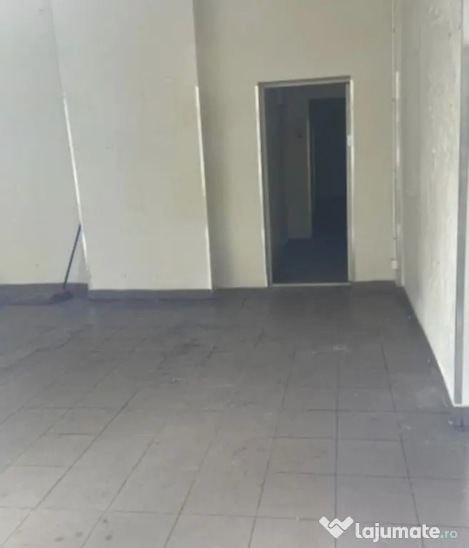 Zona Calea Ferentari sp 119 mp - Bucuresti (Bucuresti-Ilfov)