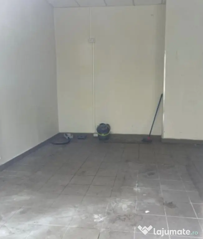 Zona Calea Ferentari sp 119 mp - Bucuresti (Bucuresti-Ilfov)