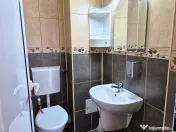 OSTROVENI - Etaj 1 - Spatiu cu vizibilitate stradala - Cabin