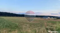 Teren 5,000mp Samurcasi / Strada Guliei