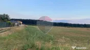 Teren 5,000mp Samurcasi / Strada Guliei 