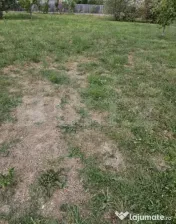 Teren intravilan 1.178 mp, Trivale, Pitești 