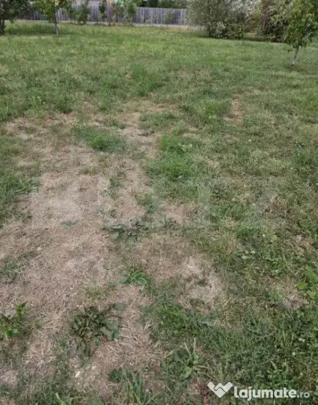 Teren intravilan 1.178 mp, Trivale, Pitești - Pitesti (Arges)