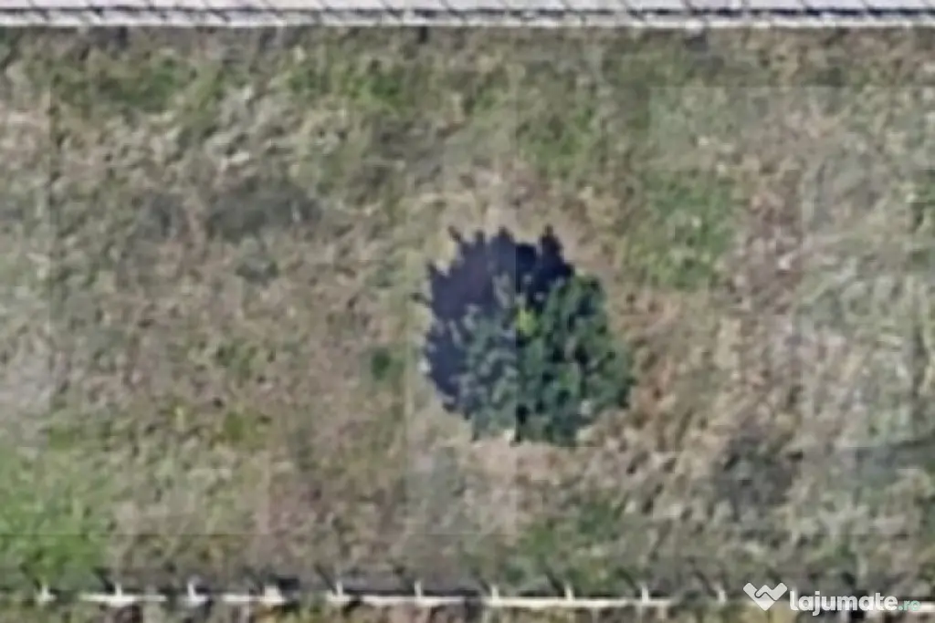 Teren intravilan 1.178 mp, Trivale, Pitești - Pitesti (Arges)