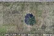 Teren intravilan 1.178 mp, Trivale, Pitești 