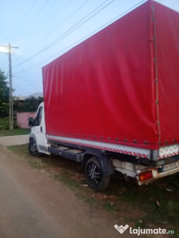 Transport orice marfă