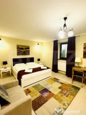 Garsonieră pregatita pentru Airbnb, Centru Istoric Brasov 