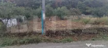 Teren intravilan 1.100 mp în Ortelec
