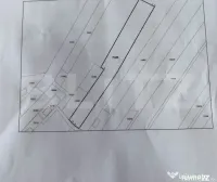 Teren 6.859 mp, Niculești (Dâmbovița) — potențial dubl