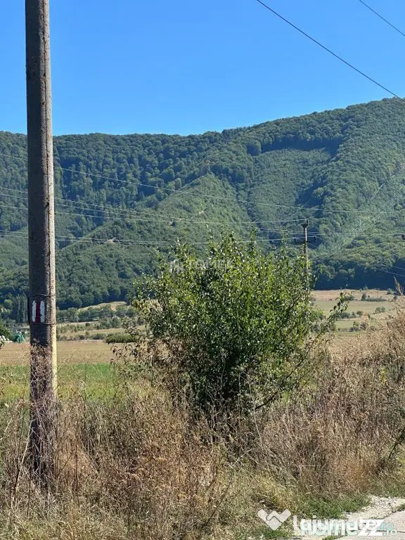 Teren industrial,Cucului-INA-Avicola - Brasov (Brasov)